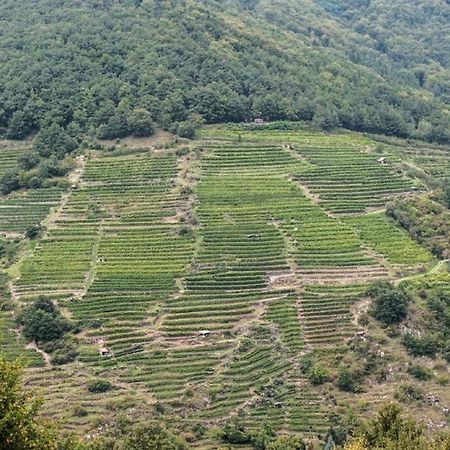 Weingut Piewald Lägenhet Gut am Steg Exteriör bild