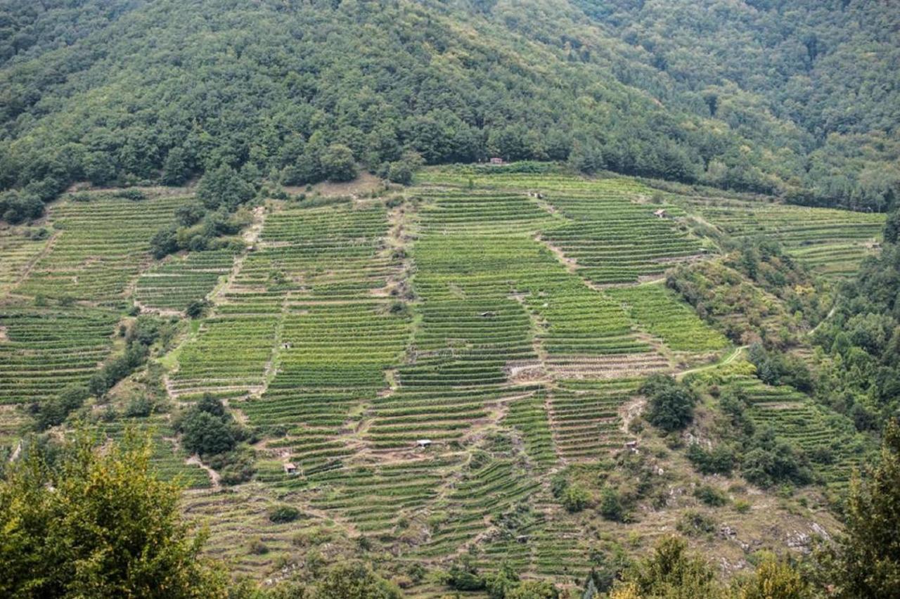 Weingut Piewald Lägenhet Gut am Steg Exteriör bild